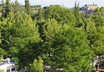 *** Κάμπινγκ Camping Siena Colleverde Ιταλία